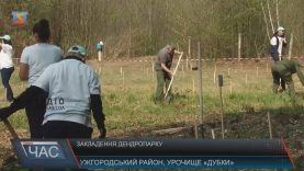 В Ужгородському районі заклали новий дендропарк з 16 порід дерев