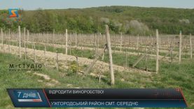 Відродження виноградарства та виноробства – на часі!