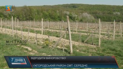 Відродження виноградарства та виноробства – на часі!