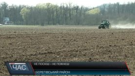 Весняно-польові роботи на Закарпатті почали на місяць раніше