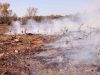 підстилка лісова