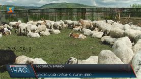 Фестиваль «Бринза Хустщини» вперше відбувся у Горінчеві