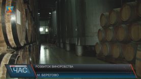 Французькі винороби поділилися секретами із закарпатськими