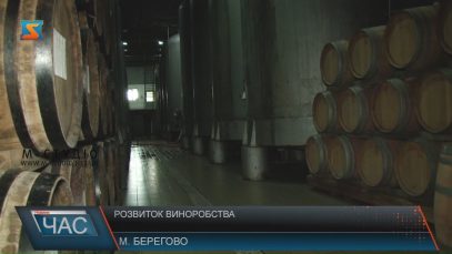 Французькі винороби поділилися секретами із закарпатськими