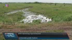 На Мукачівщині селяни гуртом рятували поля від паводку