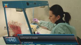 На Закарпатті – початкова стадія епідемія СНІД, відсоток нових випадків зроста