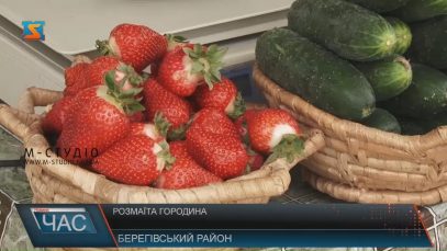 На Закарпатті вже продають свіжу городину