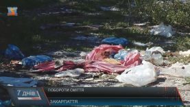 Проблему сміття на Ужгородщині хочуть вирішити за допомогою школярів