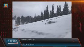 Травневий сніг на Закарпатті не повинен нашкодити врожаю