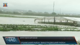 У постраждалих від паводку селах намагаються врятувати врожай