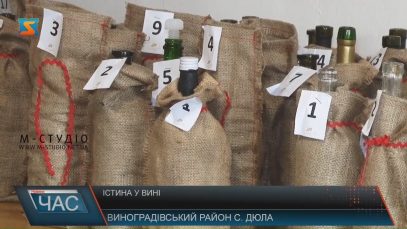 Відкритий дегустаційний конкурс вина выдбувся на Виноградівщині