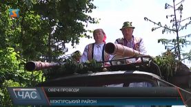 На Міжгірщині з розмахом провели овець на полонини