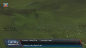 На Рахівщині кожен може побачити, як народжується форель