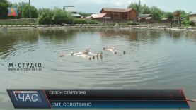 На солоних озерах Солотвина почався туристичний сезон