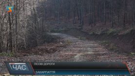 На Закарпатті цього року збудували ще 8 км лісових доріг