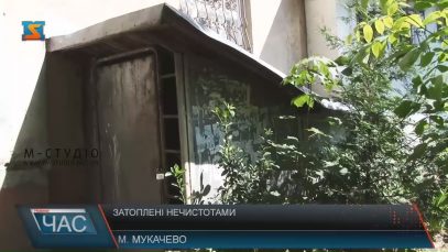 Підвал мукачівської багатоповерхівки тоне у нечистотах