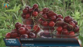 Рання черешня на закарпатських ринках скоро закінчиться