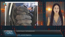 43 кілограми бурштину на 700 тисяч гривень вилучили на митному посту «Солотвино»