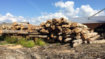 67316686_1598486133614986_5975822787607003136_n