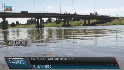 Мукачівська СЕС заперечує інформацію про кишкову паличку в Латориці