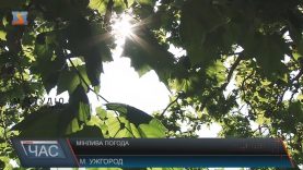 На Закарпатті дощитиме весь тиждень