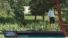 Попит на кваліфікованих аграріїв зростає з кожним роком