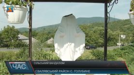 У Голубиному на Свалявщині вандали відбили голову скульптурі Діви Марії