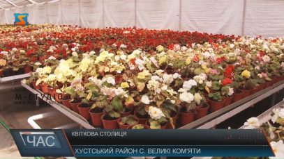 У Великих Ком’ятах на Хустщині замість городини врощують квіти