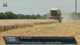 Врожай зернових на Закарпатті має бути не меншим минулорічного