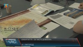 Закарпатці зареєстрували петицію до президента проти вітряків на Боржавських полонинах