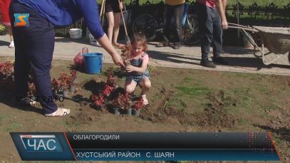 Жителі Шаяна на Хустщині перетворили стихійну парковку на квітник