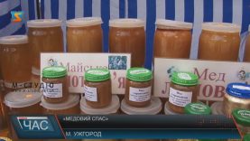 Фестиваль «Медовий спас» три дні триватиме в Ужгороді