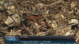 На Закарпатті ось-ось почнеться сезон «тихого полювання»