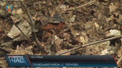 На Закарпатті ось-ось почнеться сезон «тихого полювання»