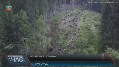 Працівників Карпатського біосферного запоідника підозрюють у незаконній вирубці лісу