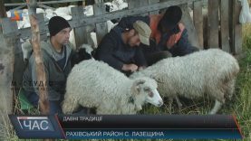 Туристів на Рахівщину хочуть привабити овечими отарами