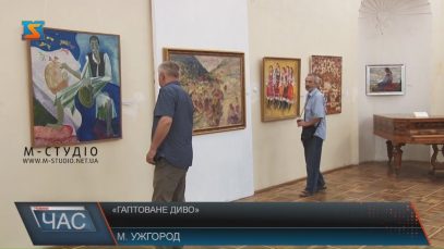 У Закарпатському художньому музеї стартувала виставка «Гаптоване диво»