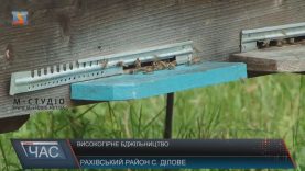 Високогірні пасіки на Рахівщині мають великий потенціал