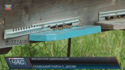 Високогірні пасіки на Рахівщині мають великий потенціал