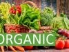 органічна-продукція
