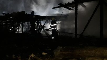 70202926_2968222926736446_8583328021765685248_n