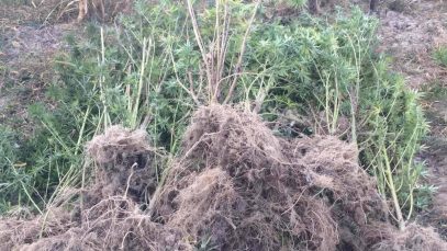 70901865_834708786925139_8114917823312035840_n