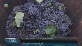 Фестиваль молодого вина «Бобовищенське гроно» вчетверте відбувся на Мукачівщині