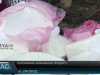 Гуцульська бриндзя може стати першим в Україні продуктом з географічним маркуванням