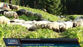 Спосіб життя вівчарів на полонинах Рахівщини зберігається вже століттями
