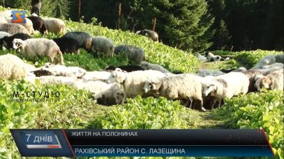 Спосіб життя вівчарів на полонинах Рахівщини зберігається вже століттями