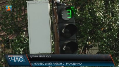 У Ракошині на трасі «Київ-Чоп» мікроавтобус збив жінку-пішохода