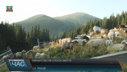 Вівчарів на карпатських полонинах стає дедалі менше
