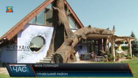 Жителька Тячівщини втілила мрію і створила розсадник з десятками тисяч рослин