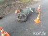 72351239_952004895175854_535250480968761344_n